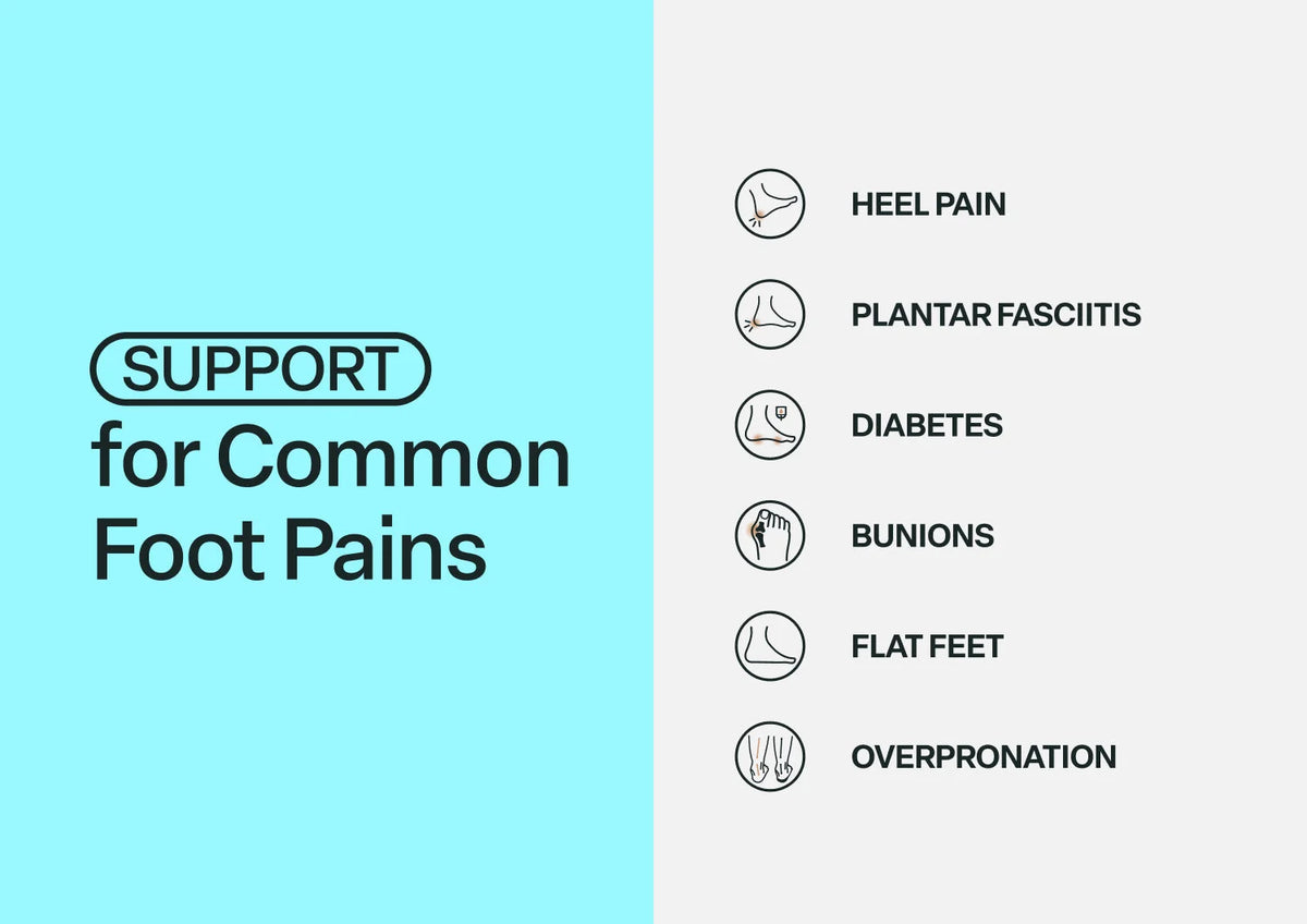 Charlotte - Sapphire