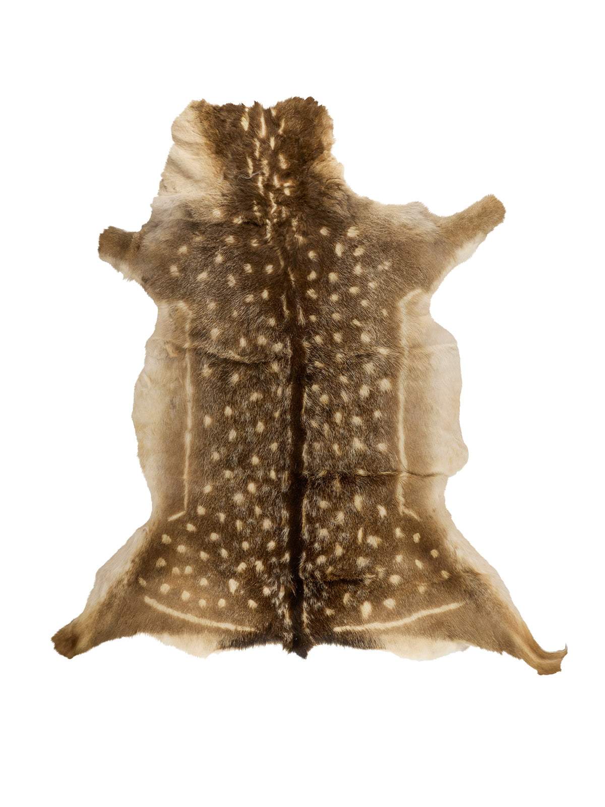 Fallow Deer Hide