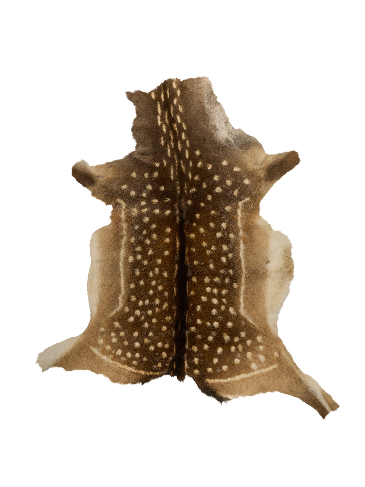 Fallow Deer Hide