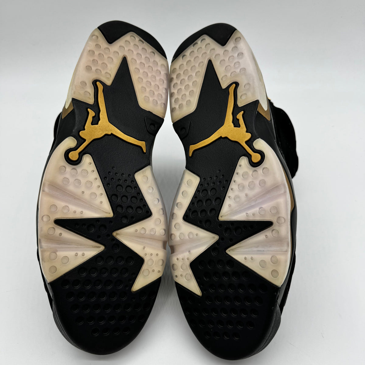 Jordan 6 DMP (2020)