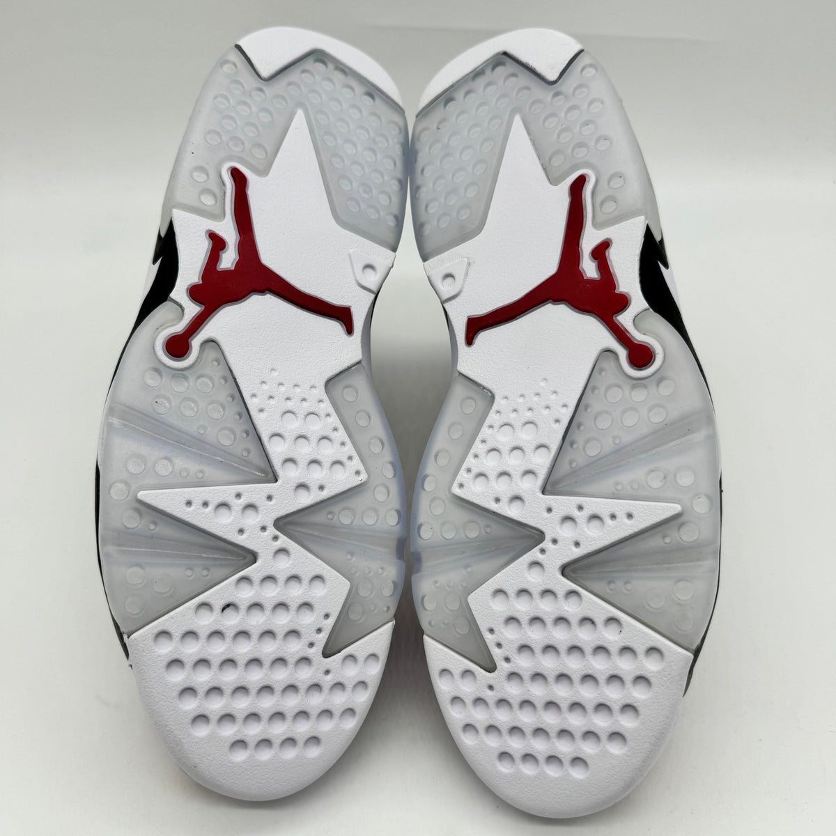 Jordan 6 Carmine (2021)