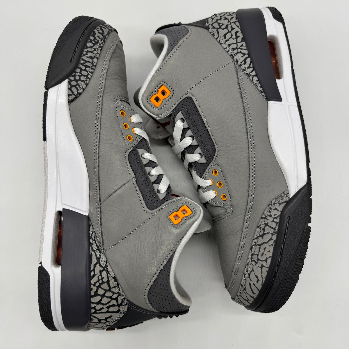 Jordan 3 Cool Grey (2021)
