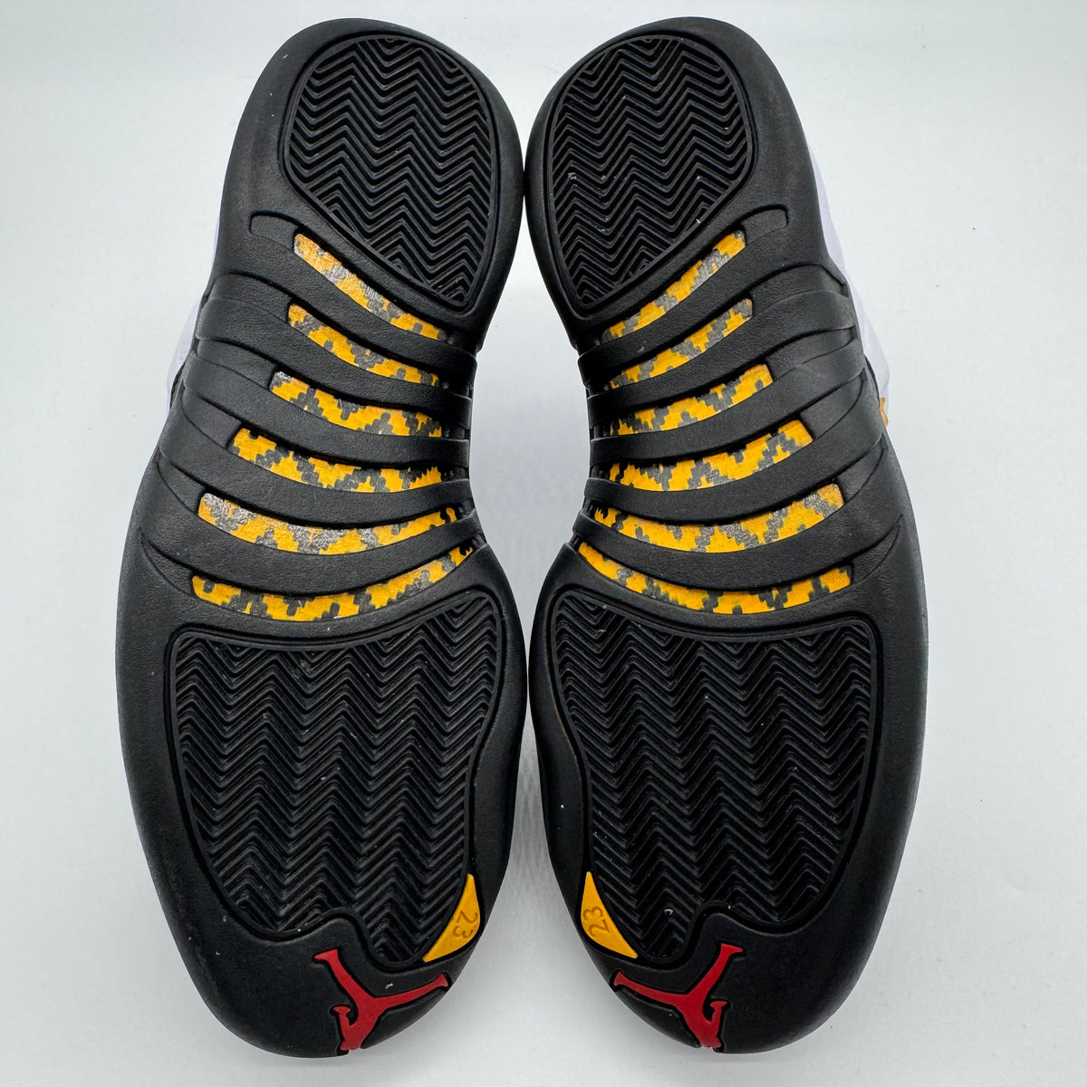 Jordan 12 Taxi (2025)