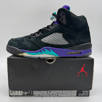 Jordan 5 Black Grape (2013)