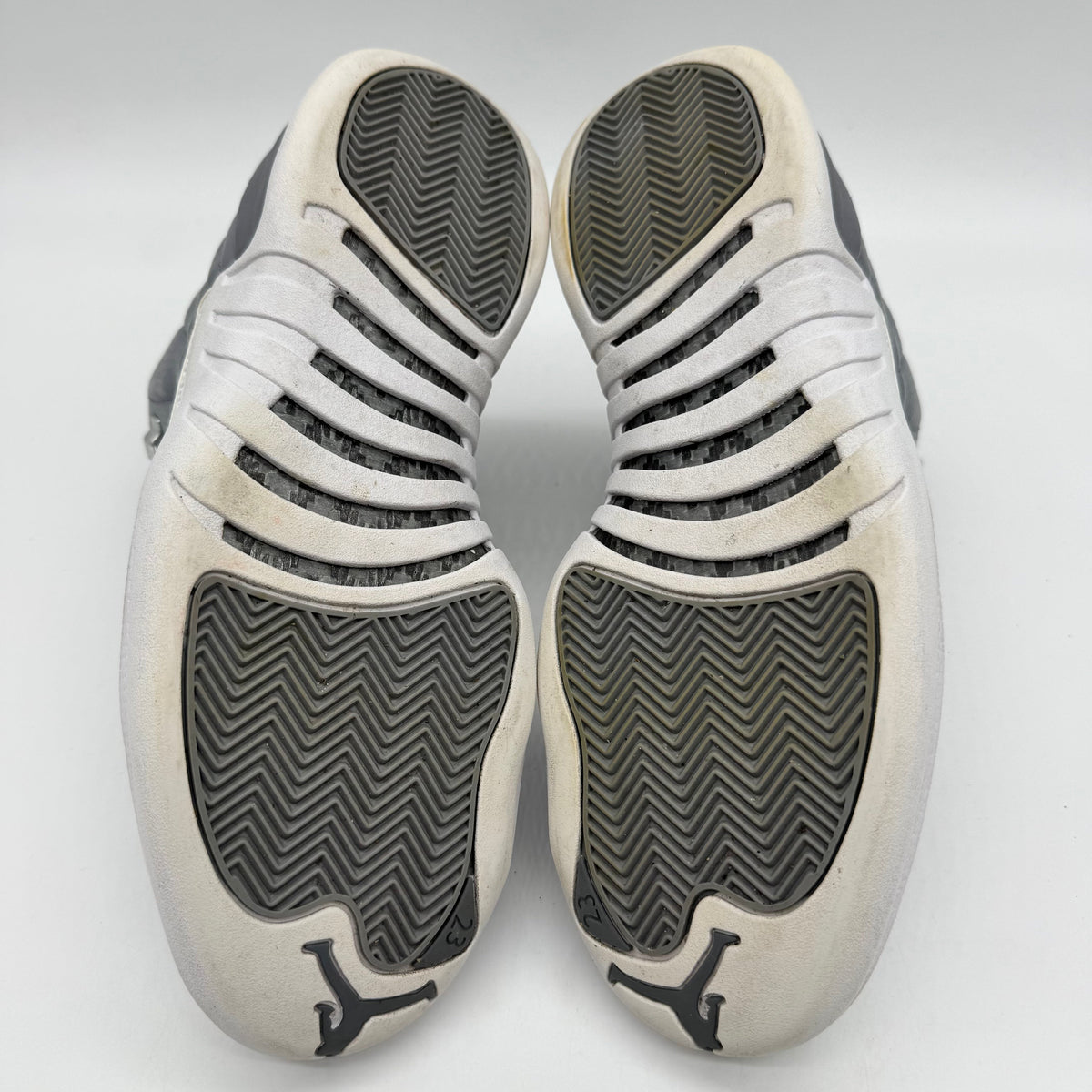 Jordan 12 Stealth