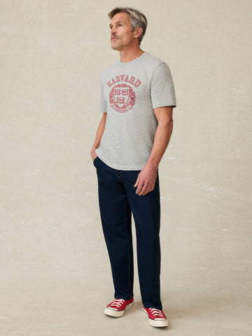Harvard Sunwashed Tee - Granite Heather