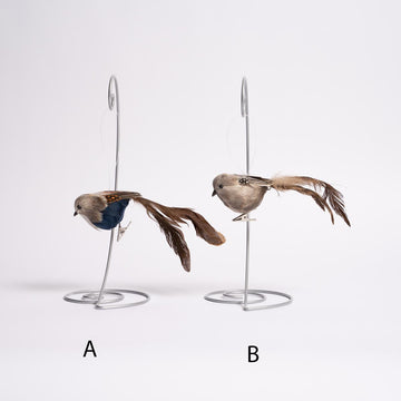 Longtail Quail