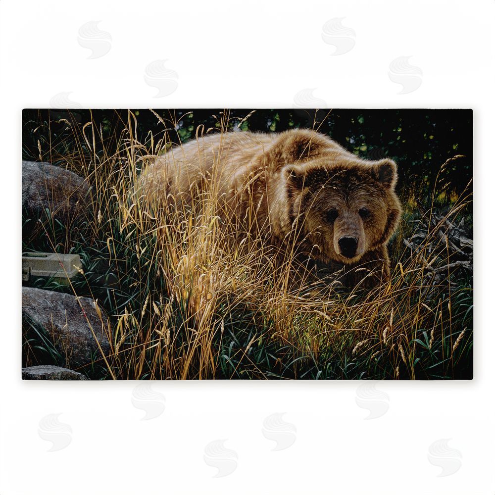 Collin Bogle | Crossing Paths Brown Bear Non-Woven Door Mat