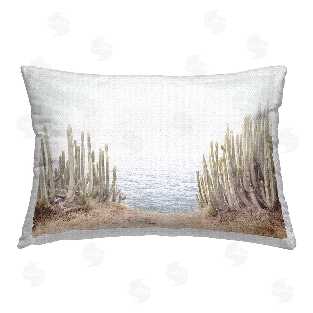 Sisi and Seb | Seaside Cacti Plants