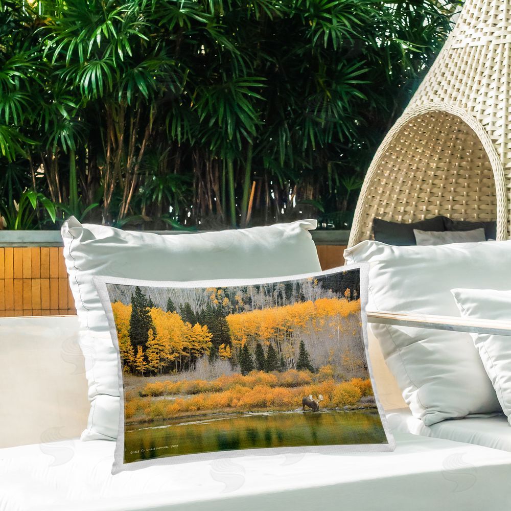 Chris Vest | Moose at Priest Lake