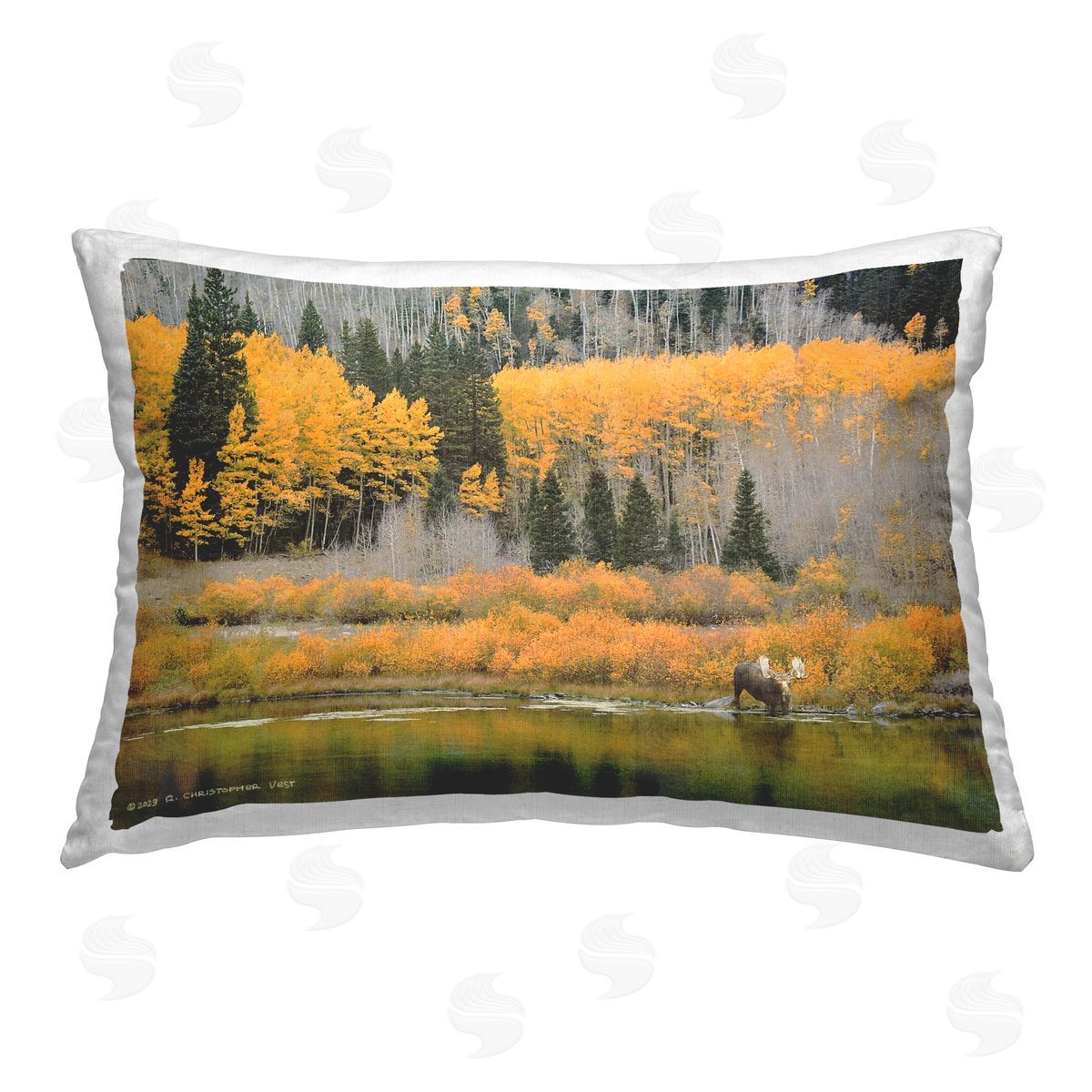 Chris Vest | Moose at Priest Lake