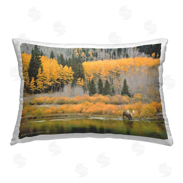 Chris Vest | Moose at Priest Lake