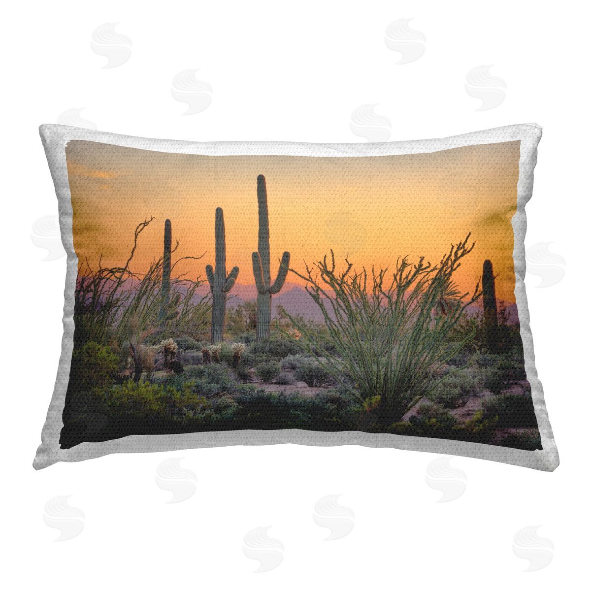Marty Hulsebos | Sunset Desertscape Cacti