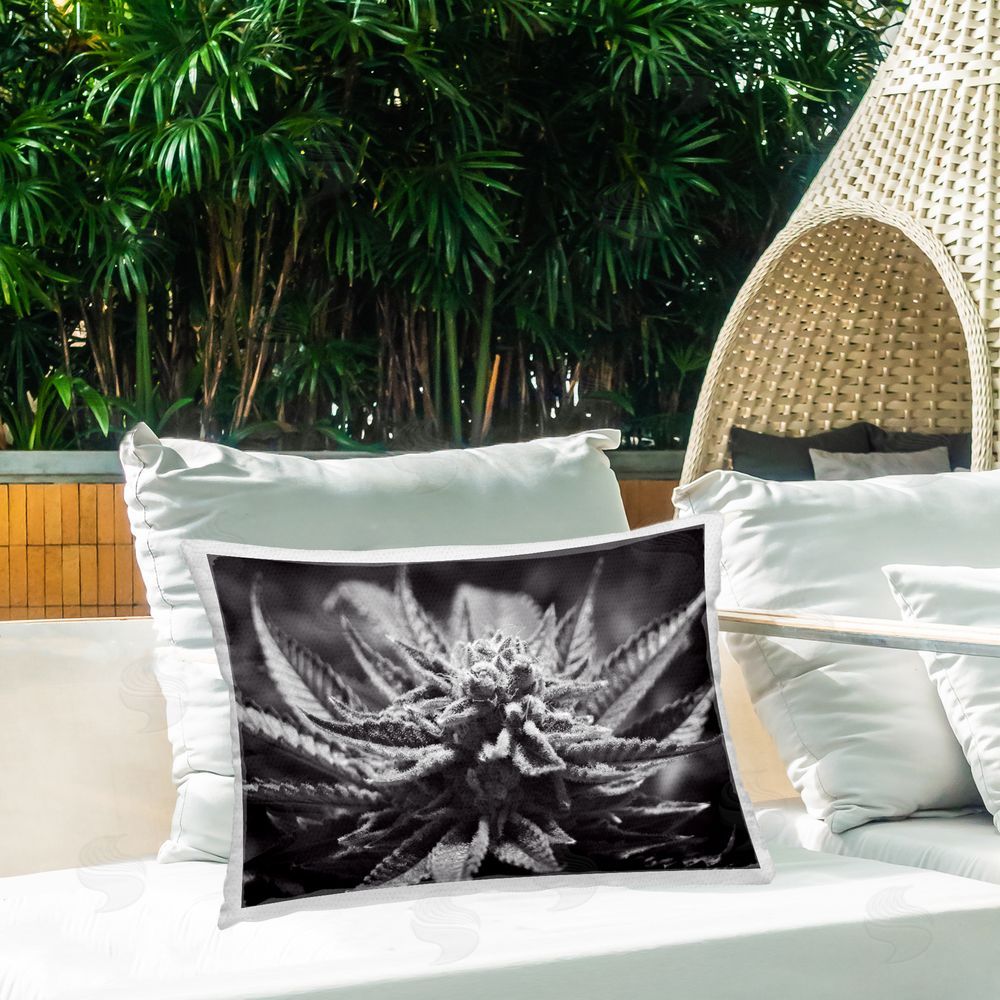 LIH | Monochrome Cannabis Flower