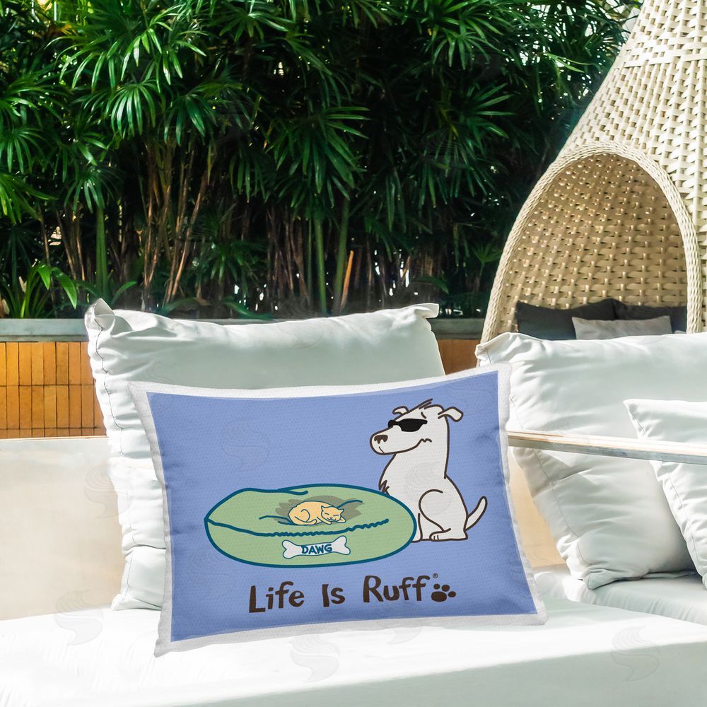 LIR | Cat on Dog Bed
