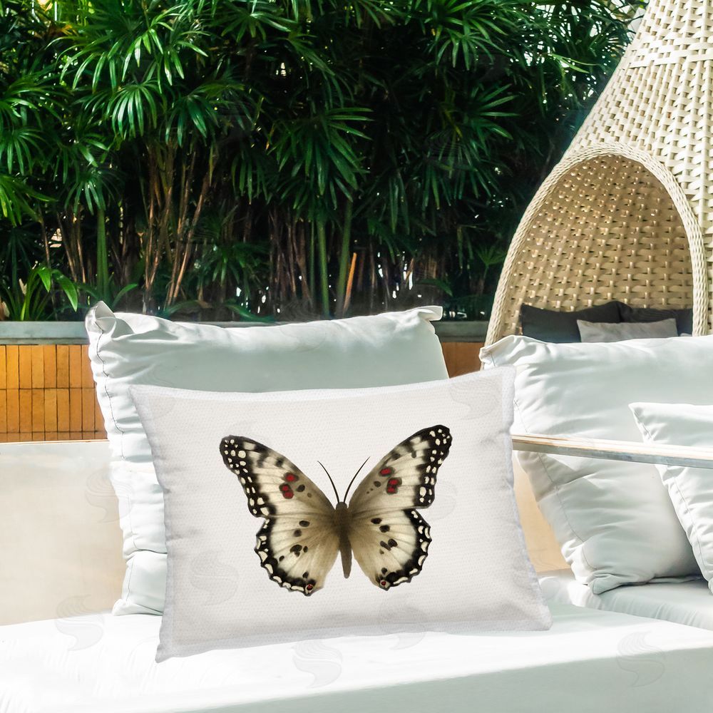Elizabeth Medley | Tan Symmetrical Butterfly