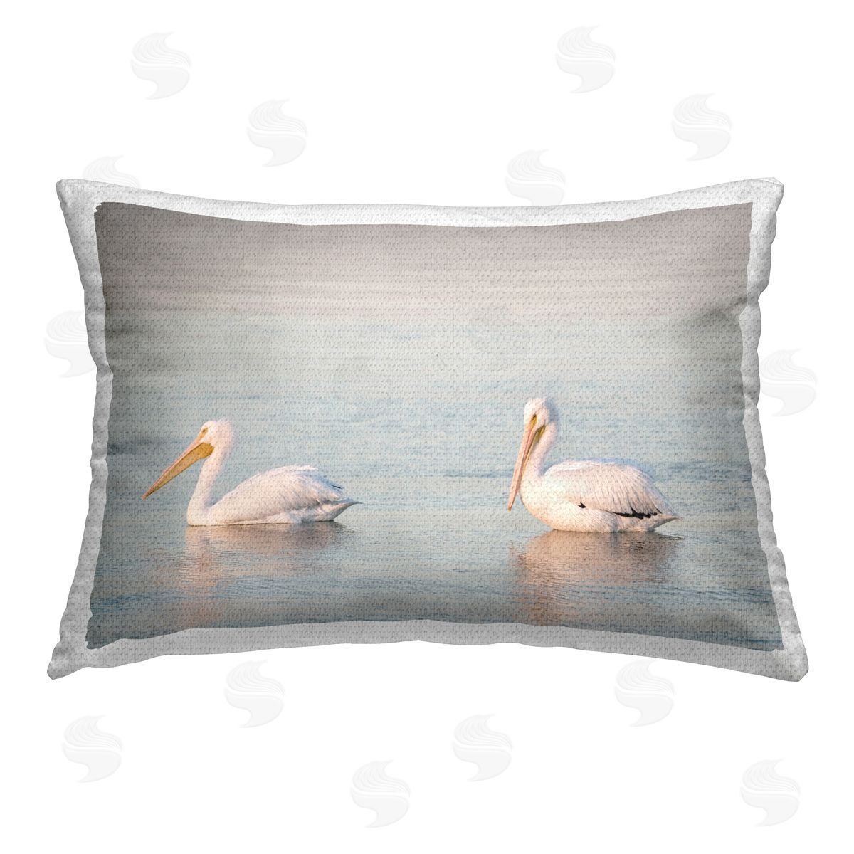 Danita Delimont | Pelicans on Calm Waters