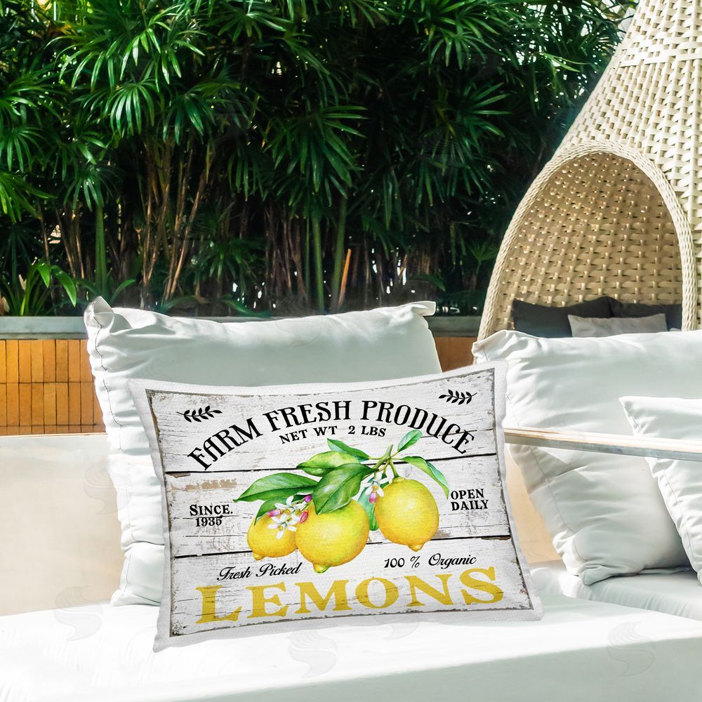 Creatif Belle | Farm Fresh Produce Lemons